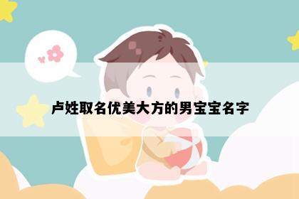 卢姓取名优美大方的男宝宝名字