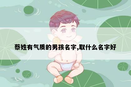 蔡姓有气质的男孩名字,取什么名字好