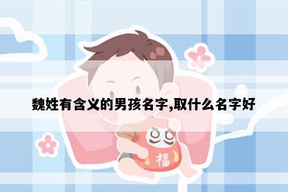 魏姓有含义的男孩名字,取什么名字好