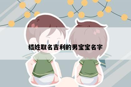 嵇姓取名吉利的男宝宝名字